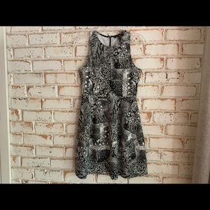BCBG knit dress XS